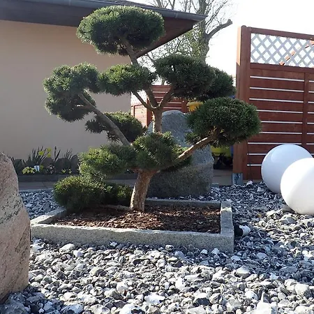 公寓 Gaestehaus Siebert